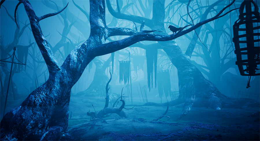 swamp